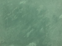 JUNGLE GREEN