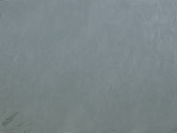 Grey Green