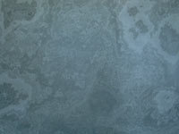 Grey Green