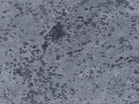 Pale grey, with dark dots and veinings