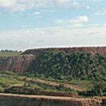 Reforesting debris mounds