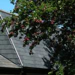 Resid�ncia Particular, Inglaterra
